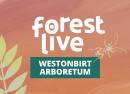 Westonbirt Arboretum