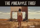 The Pineapple Thief