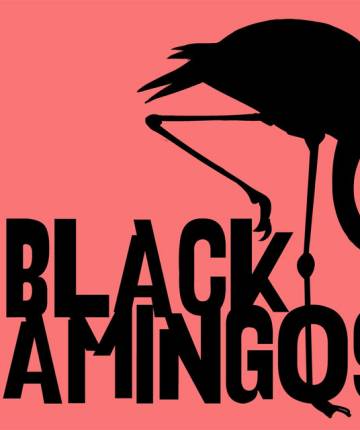 The Black Flamingos