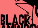 The Black Flamingos