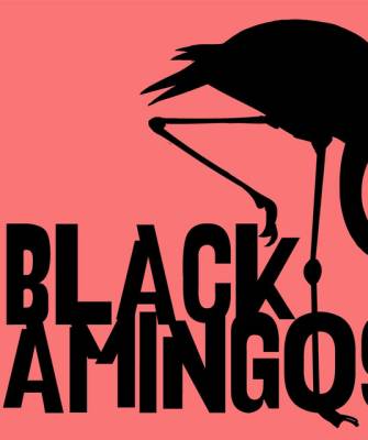 The Black Flamingos