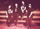 The Warped Band: The Ultimate Tribute to Warped Tour