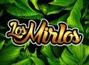 Los Mirlos
