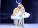 Swan Lake