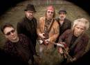 Damn the Torpedoes - a Tribute To Tom Petty