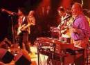The Radiators - 2024 Reunion