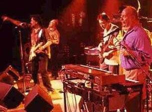 The Radiators - 2024 Reunion