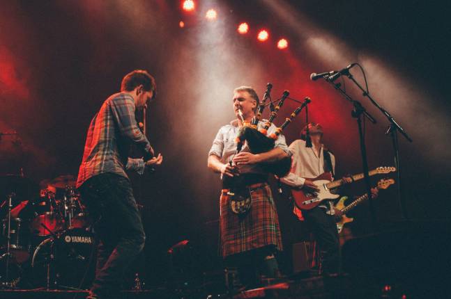 Peatbog Faeries