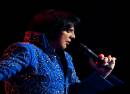 The Ultimate Elvis