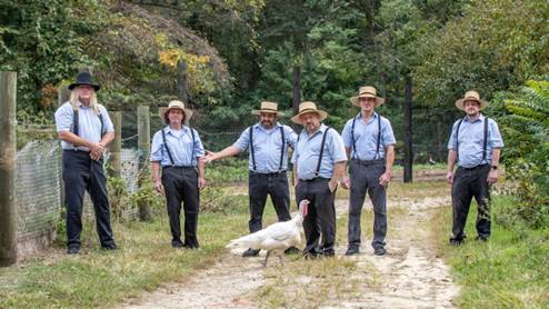 Amish Outlaws