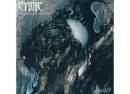 Cynic