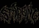 Stabbing