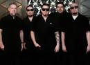 The Aggrolites