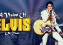 A Vision Of Elvis