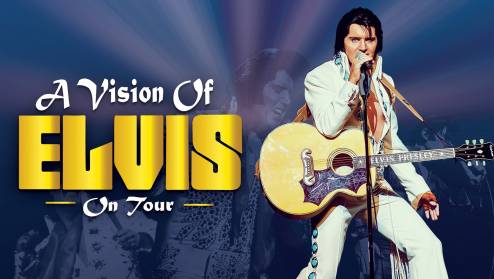 A Vision Of Elvis