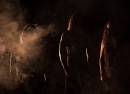 Wolves In The Throne Room