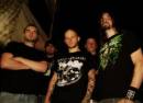 Allegaeon