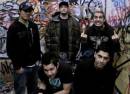 Zebrahead