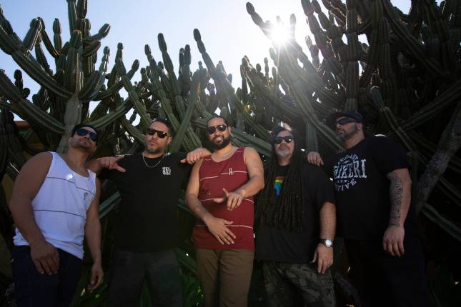 Katchafire