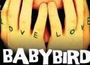 Babybird