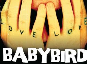 Babybird