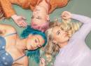 Sheppard