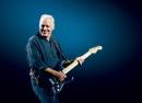 David Gilmour