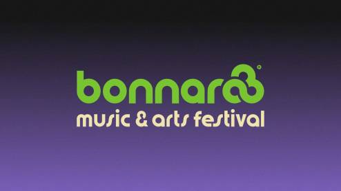 Bonnaroo Music + Arts Festival