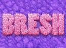 Bresh