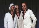 Bee Gees Now