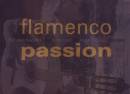 Flamenco Passion