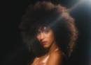 Gavin Turek