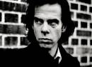 Nick Cave