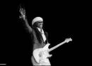 Nile Rodgers