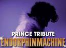 Prince Tribute Endorphinmachine