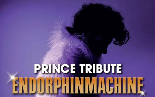 Prince Tribute Endorphinmachine