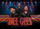 The Bee Gees Night Fever