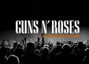 The Guns N Roses Experience