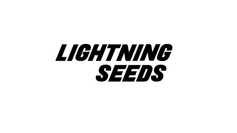 The Lightning Seeds