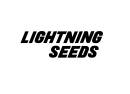 The Lightning Seeds