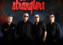 The Stranglers