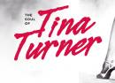 Tina Turner Tribute