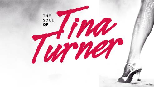 Tina Turner Tribute