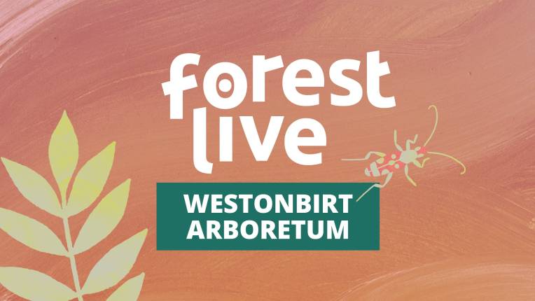 Westonbirt Arboretum