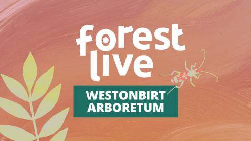 Westonbirt Arboretum