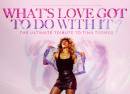 What's Love Got to do With it - Tina Turner Tribute