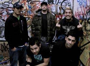 Zebrahead