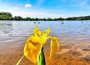 Strandbad